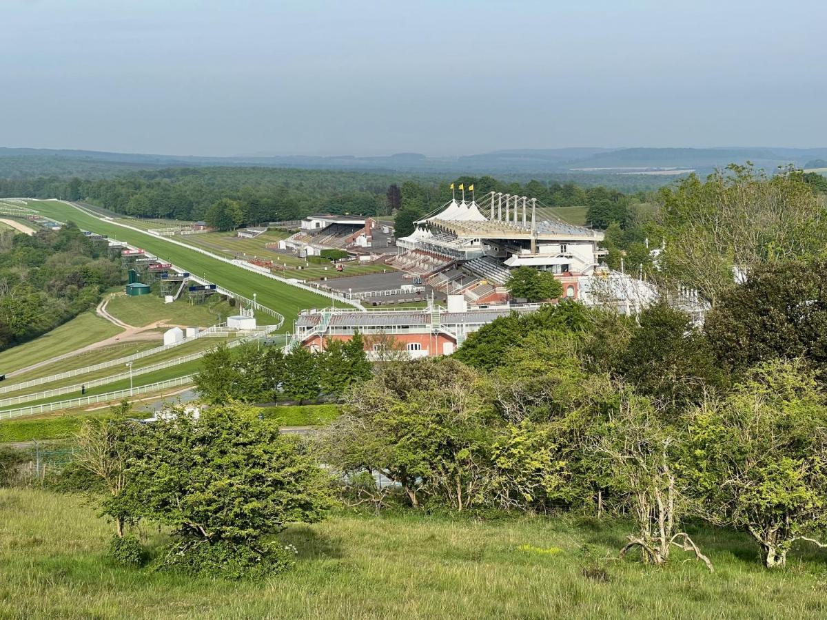 לינה וארוחת בוקר צ'יצ'סטר Flint House - Goodwood Events מראה חיצוני תמונה